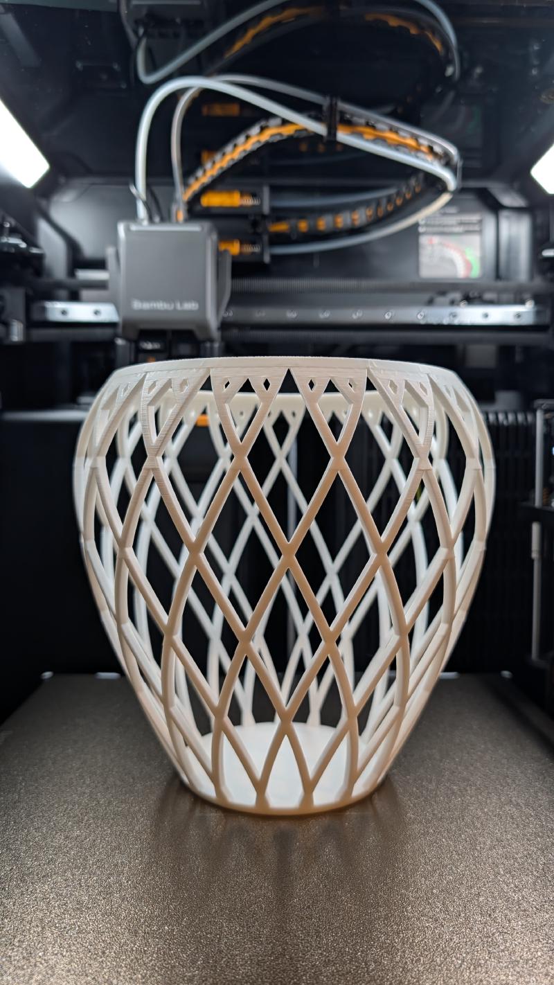 Featured image of post Spiral Lattice Vase